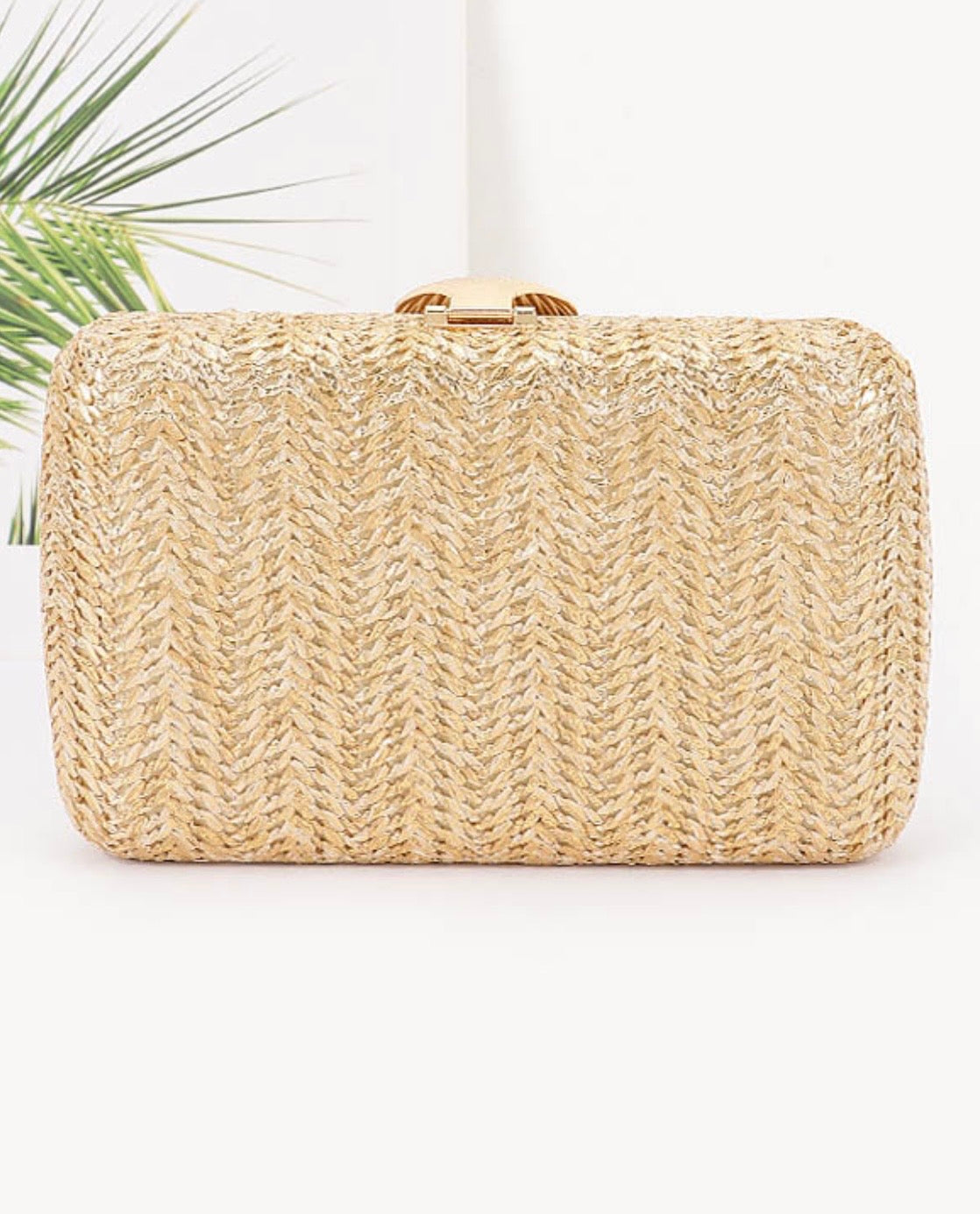 Woven Hard Body Clutch with Shell Accent